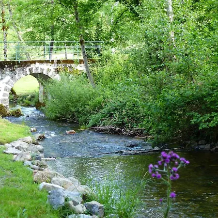 Ancien Moulin Renove, Ideal Pour Familles : Nature, Jeux, Peche, Proche De Vichy, Confort Inclus - Fr-1-489-212 Feriehus